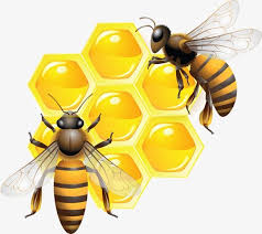 47 Бджоли ideas | бджола, вулик, малюнки